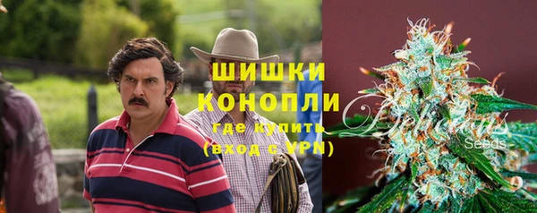 первитин Коряжма