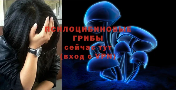 ешки Новосибирск