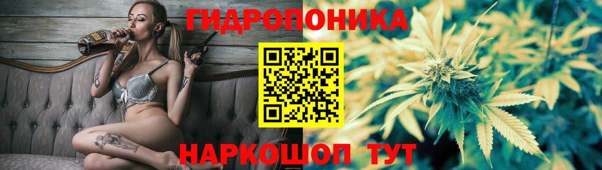 Бошки марихуана гибрид  Конопля индика  Вход с VPN  Канабис AK-47  Марихуана AK-47  Карасук 